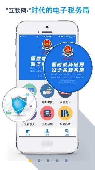 湖北省税务局_截图2