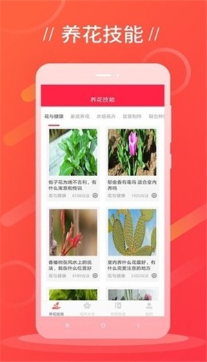 鲜花吧_截图2