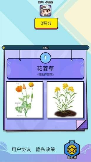 爱上鲜花_截图2