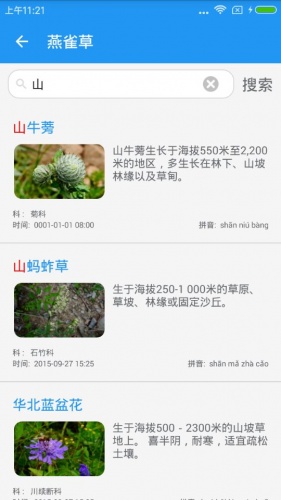 燕雀草_截图3