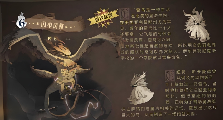 哈利波特贝拉的卡组有哪些