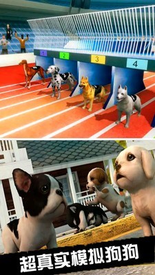我的萌宠世界模拟狗_截图2