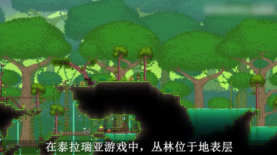 泰拉瑞亚怎么让巫医卖圣甲虫
