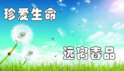 眉山市禁毒教育网考试题库_截图3