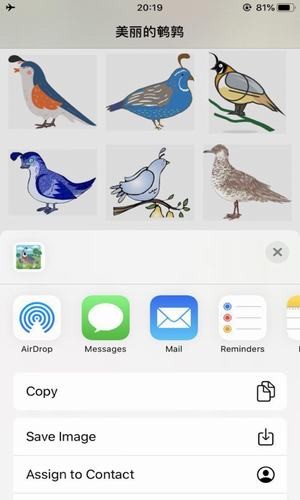 美丽的鹌鹑_截图3