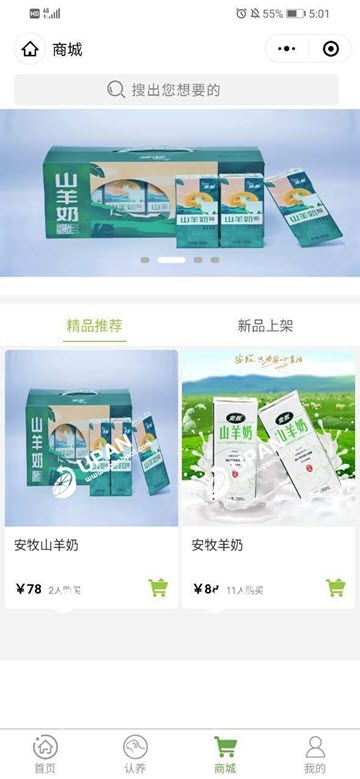 一起养羊吧_截图3