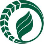 jj原生