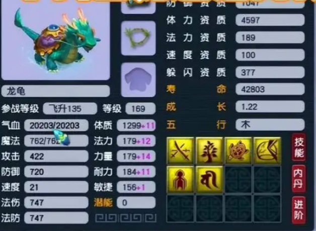梦幻西游血龙龟打什么书