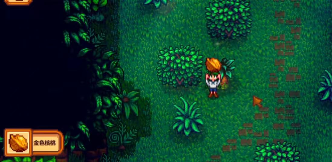 星露谷物语金色核桃怎么刷