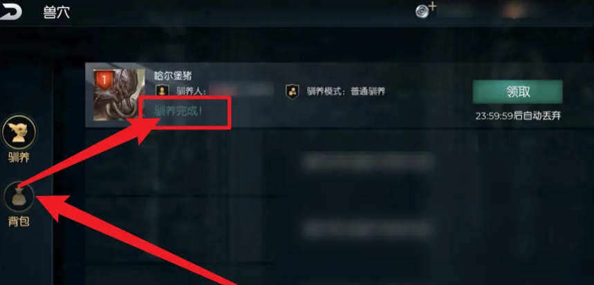 黑暗与光明怎样签约契约生物