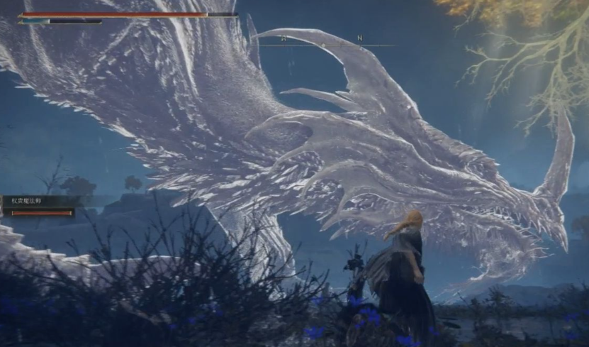 艾尔登法环打白龙用什么武器