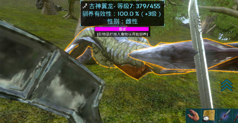 方舟生存进化古神翼龙怎么加点